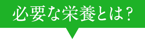 必要な栄養とは？