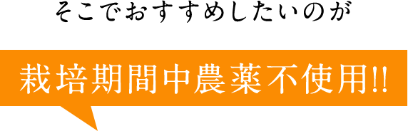 そこでおすすめしたいのが栽培期間中農薬不使用！